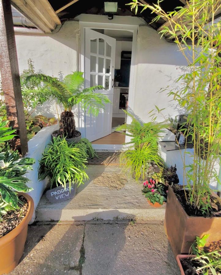 Idyllic Cornish Cottage, Superking Bed, Private Garden Dogs Welcome Truro Exterior foto
