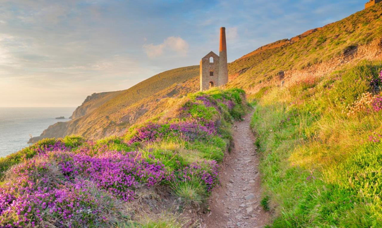 Idyllic Cornish Cottage, Superking Bed, Private Garden Dogs Welcome Truro Exterior foto