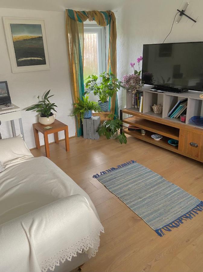 Idyllic Cornish Cottage, Superking Bed, Private Garden Dogs Welcome Truro Exterior foto
