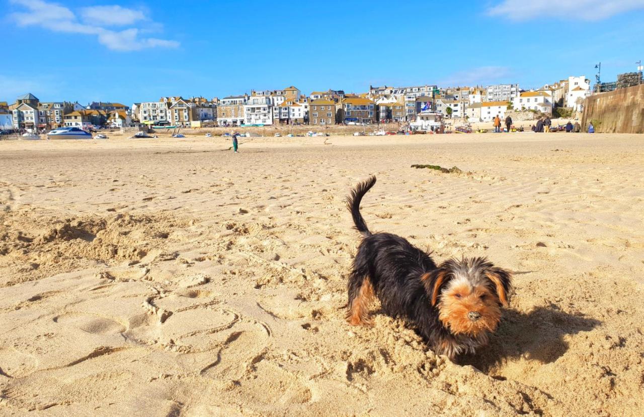 Idyllic Cornish Cottage, Superking Bed, Private Garden Dogs Welcome Truro Exterior foto